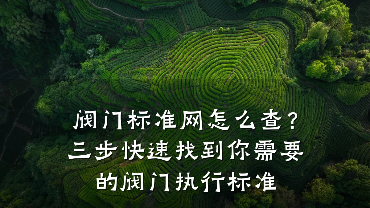 阀门标准网怎么查?三步快速找到你需要的阀门执行标准