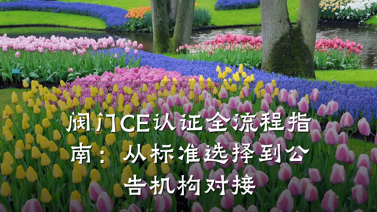 阀门CE认证全流程指南:从标准选择到公告机构对接