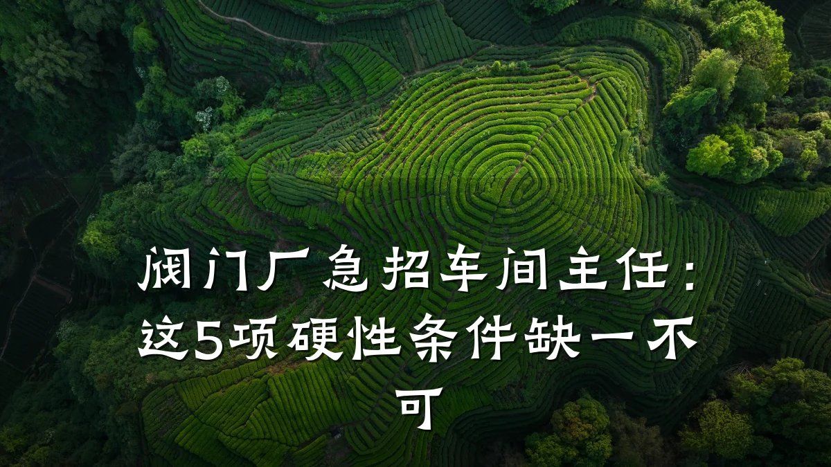 阀门厂急招车间主任:这5项硬性条件缺一不可