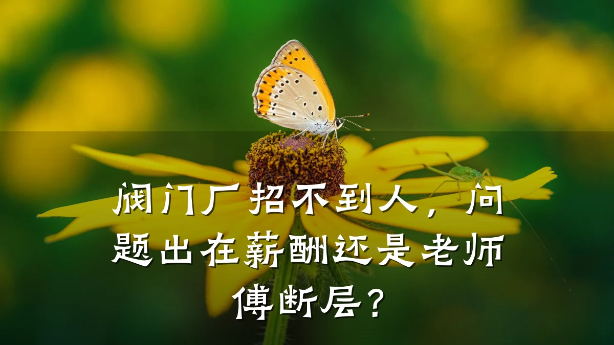 阀门厂招不到人,问题出在薪酬还是老师傅断层?