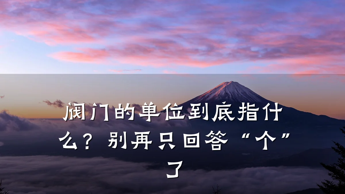 阀门的单位到底指什么?别再只回答“个”了