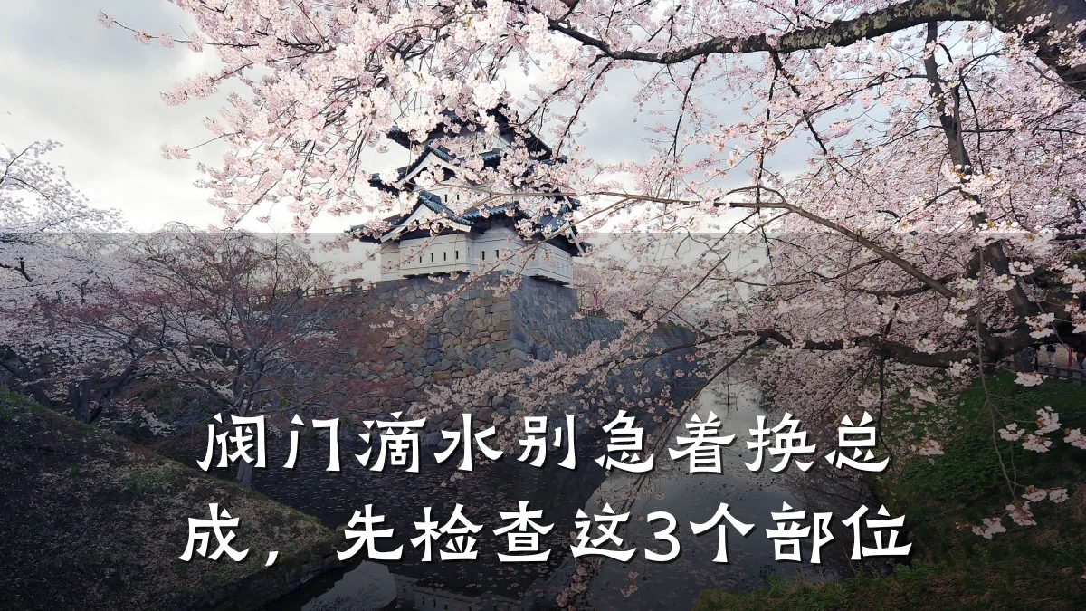 阀门滴水别急着换总成,先检查这3个部位