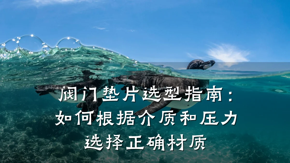 阀门垫片选型指南:如何根据介质和压力选择正确材质