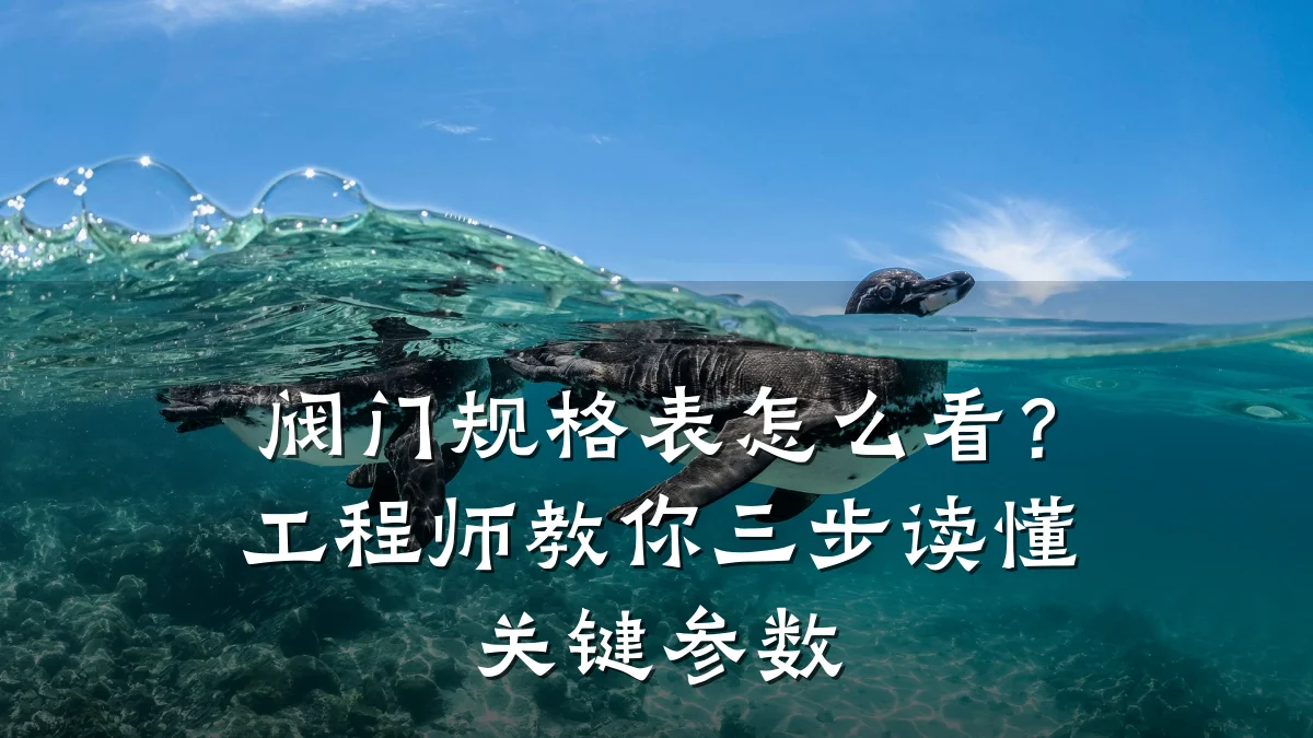 阀门规格表怎么看?工程师教你三步读懂关键参数