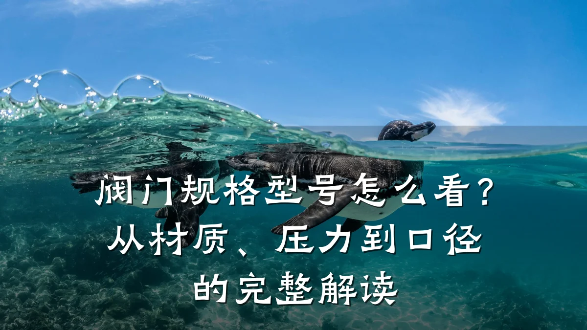 阀门规格型号怎么看?从材质、压力到口径的完整解读