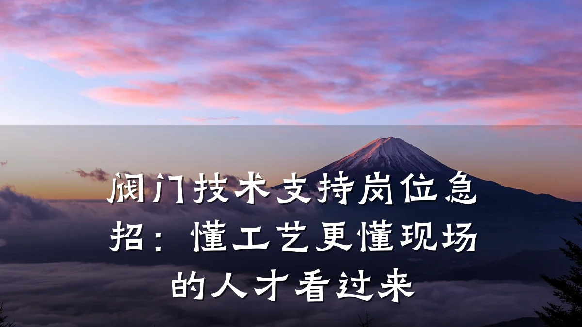 阀门技术支持岗位急招:懂工艺更懂现场的人才看过来