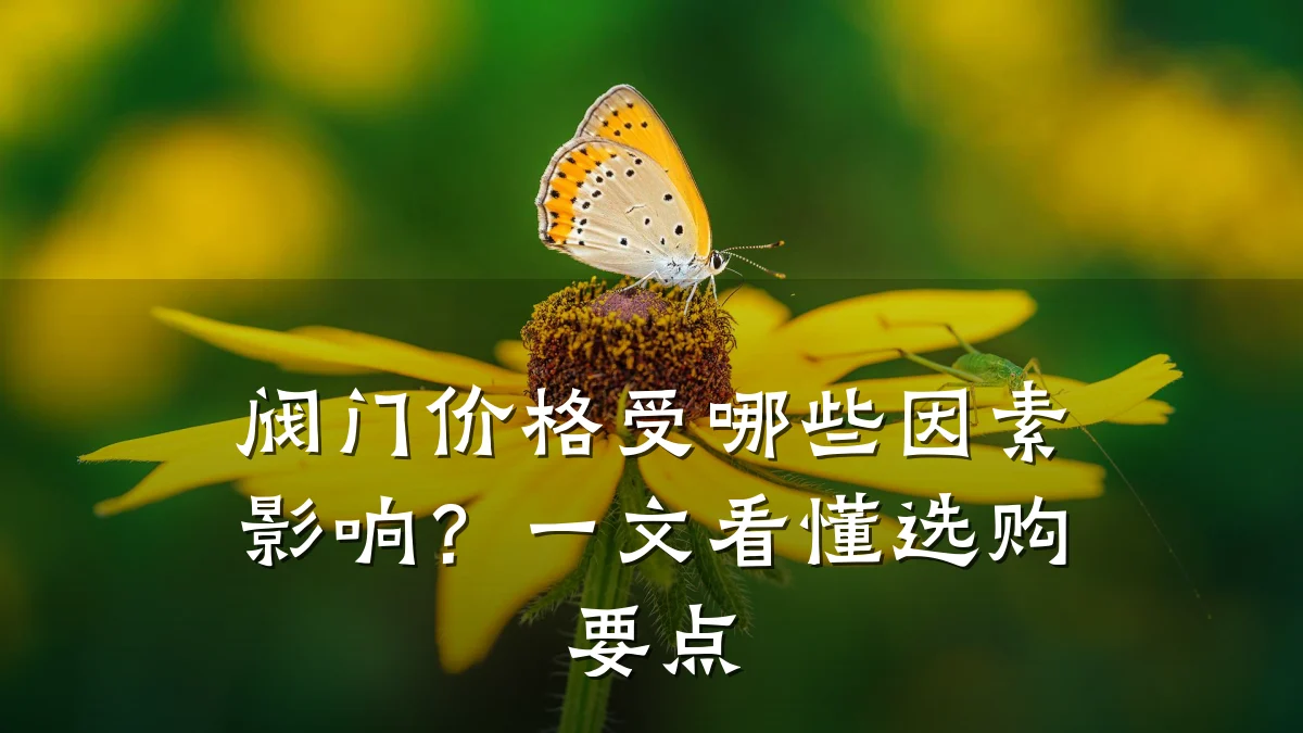 阀门价格受哪些因素影响?一文看懂选购要点