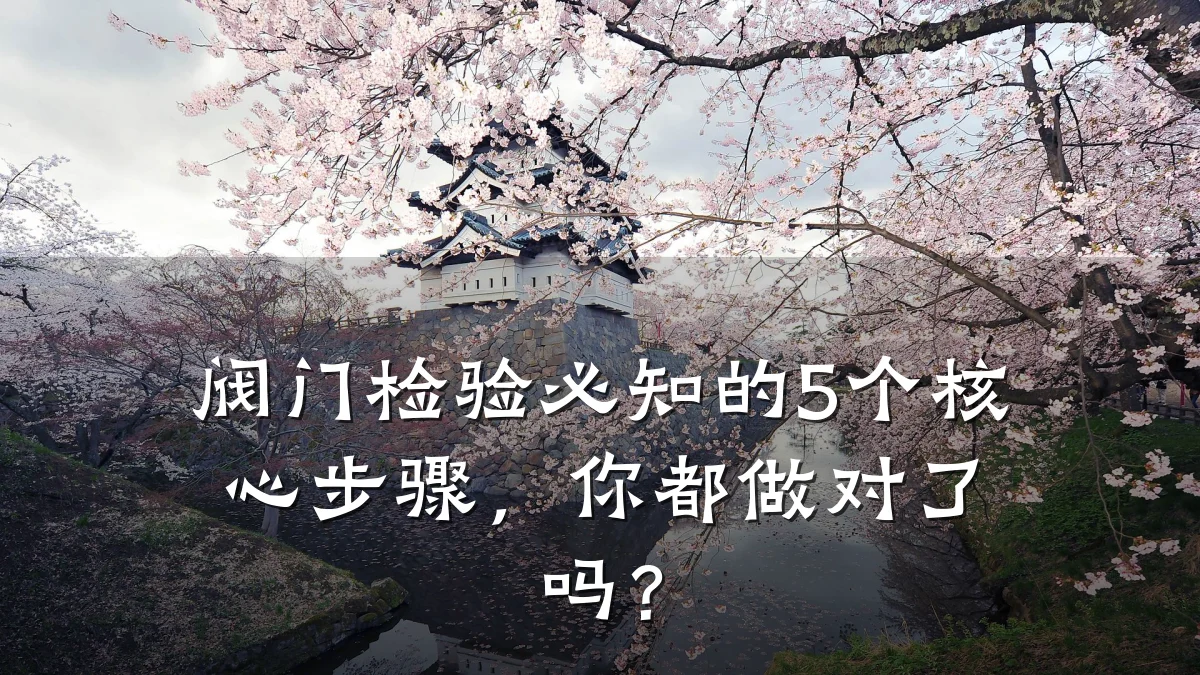 阀门检验必知的5个核心步骤,你都做对了吗?