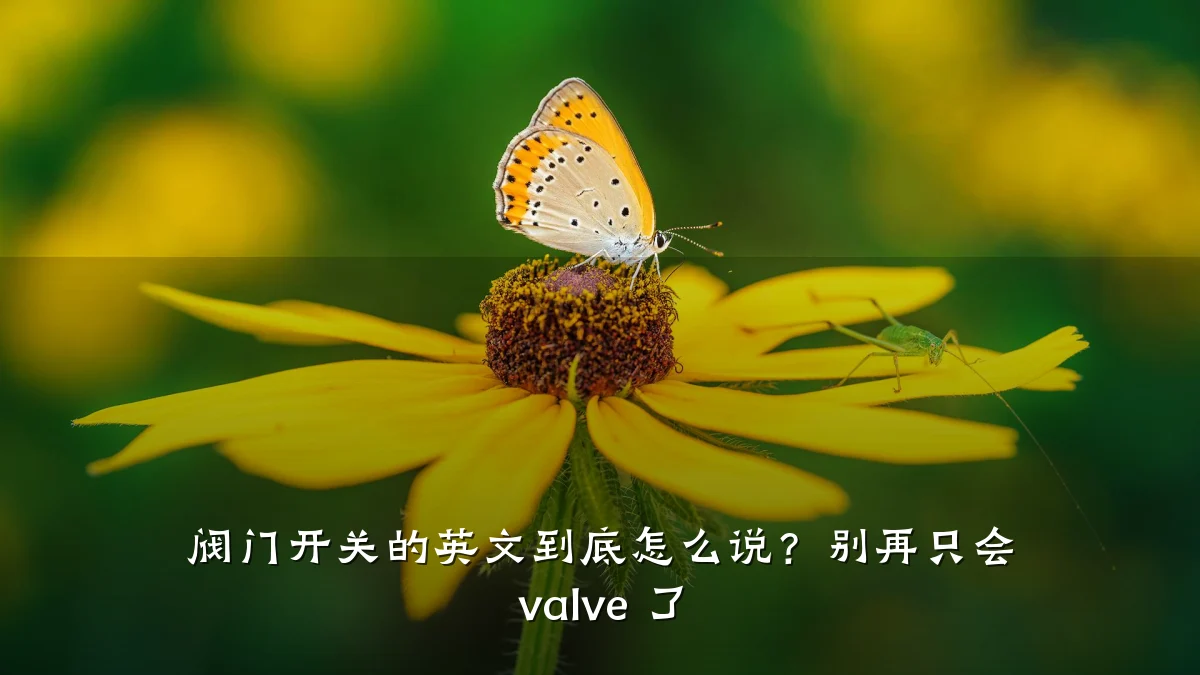 阀门开关的英文到底怎么说?别再只会 valve 了