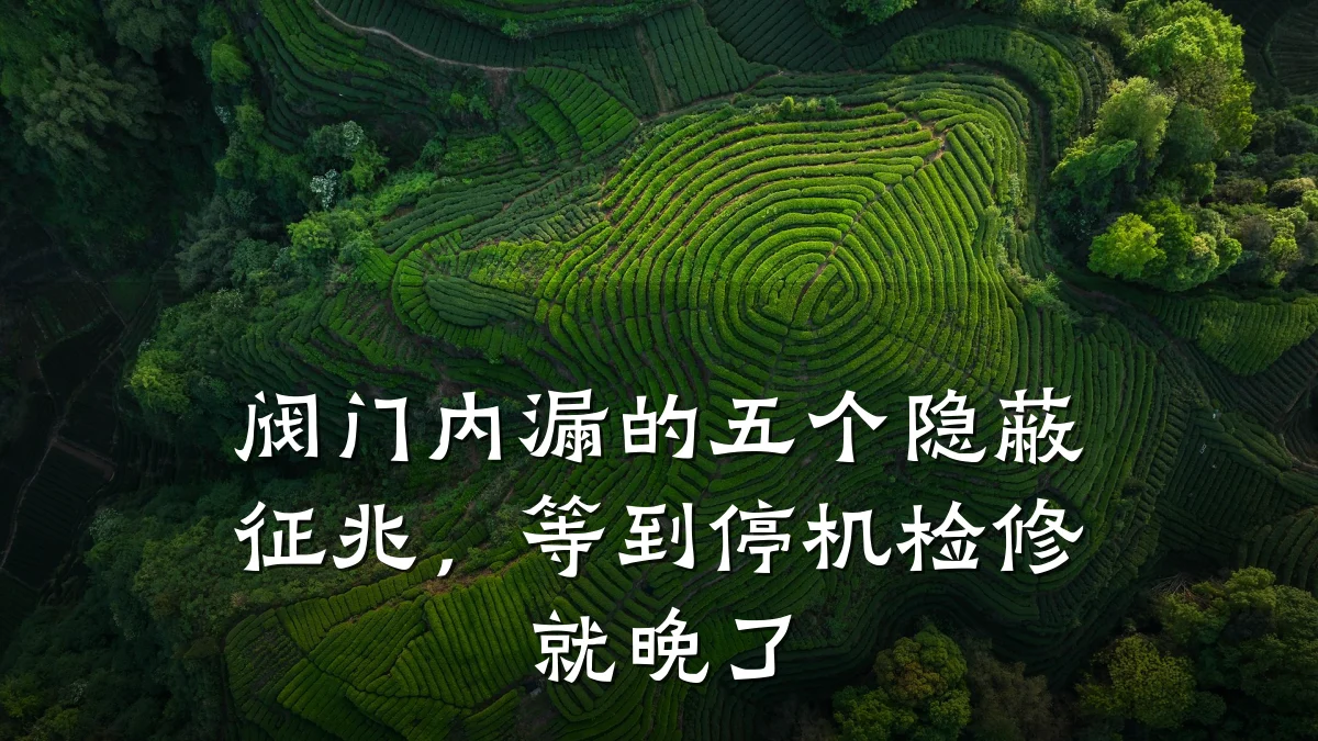 阀门内漏的五个隐蔽征兆,等到停机检修就晚了