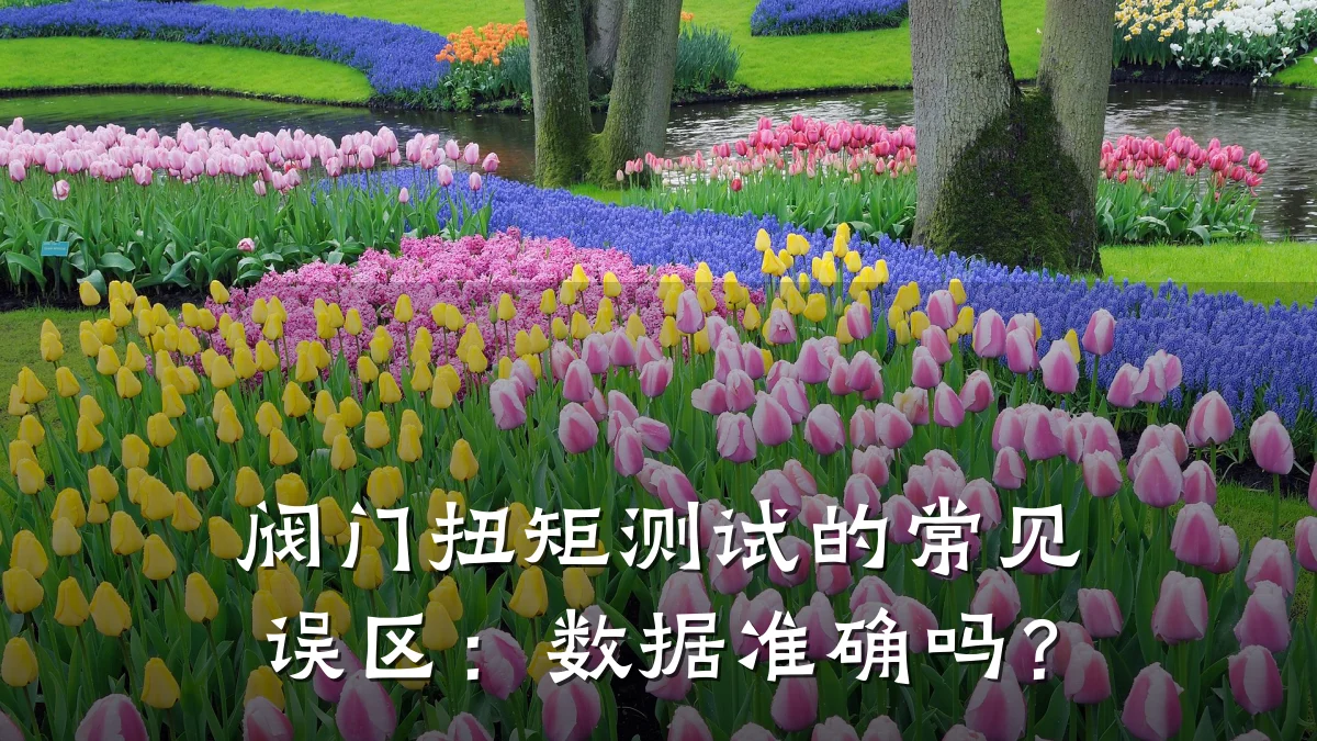 阀门扭矩测试的常见误区:数据准确吗?