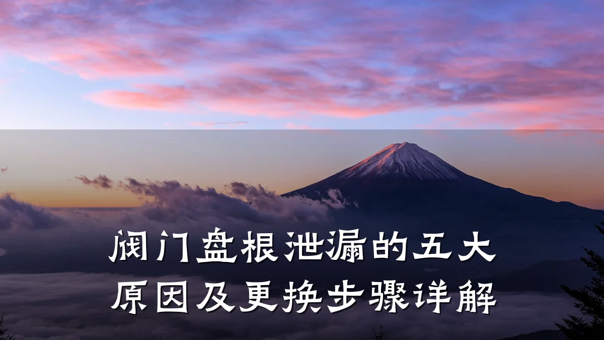阀门盘根泄漏的五大原因及更换步骤详解