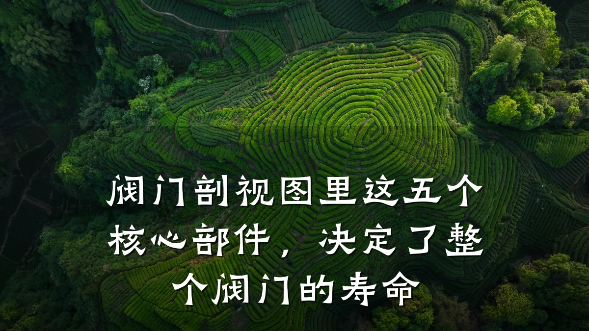 阀门剖视图里这五个核心部件,决定了整个阀门的寿命