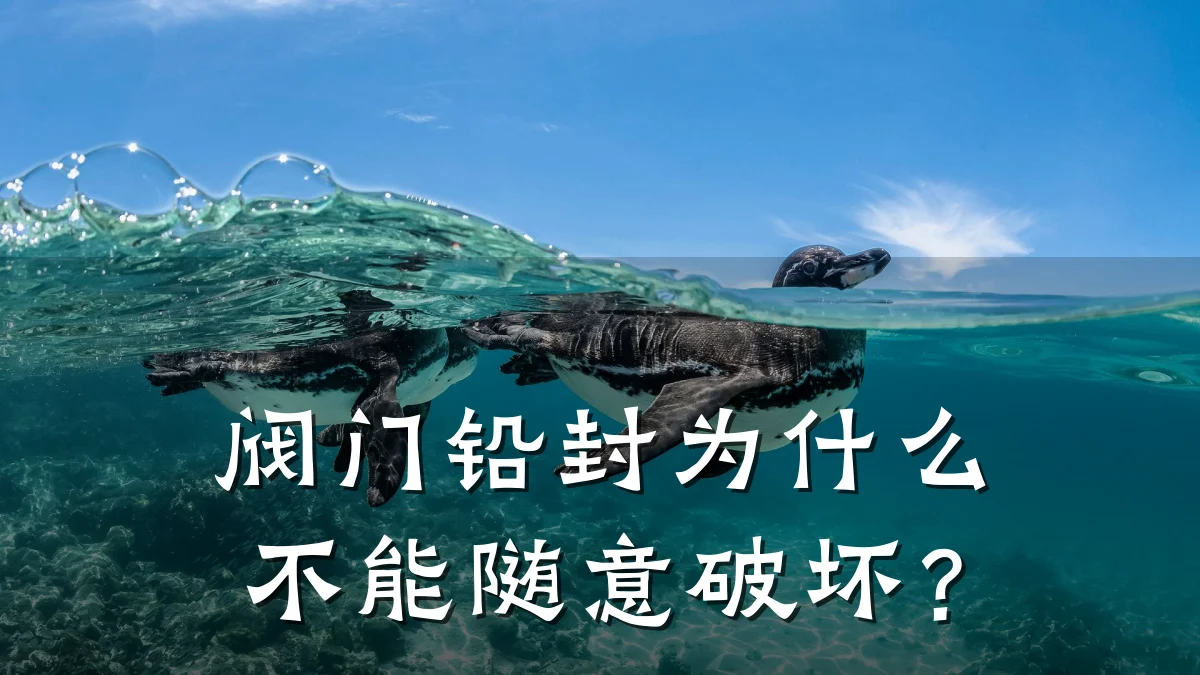 阀门铅封为什么不能随意破坏?