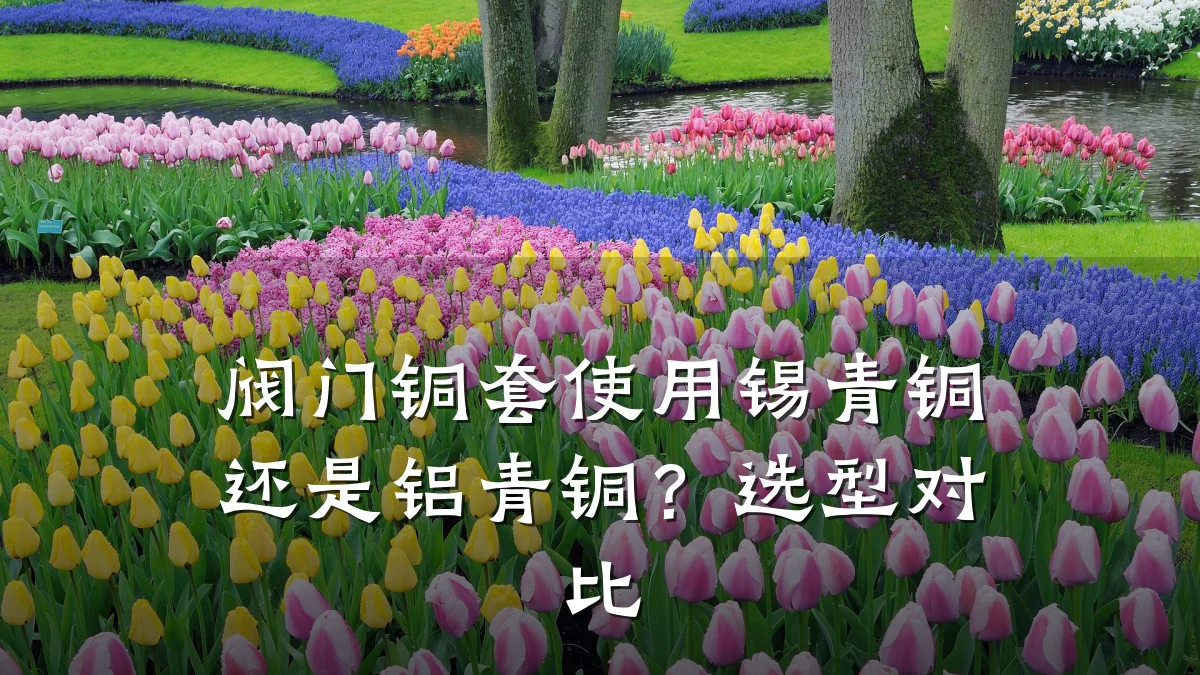 阀门铜套使用锡青铜还是铝青铜？选型对比