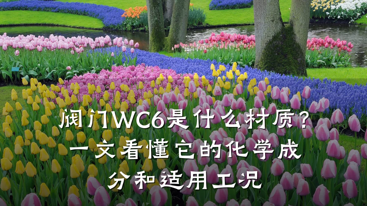 阀门WC6是什么材质?一文看懂它的化学成分和适用工况