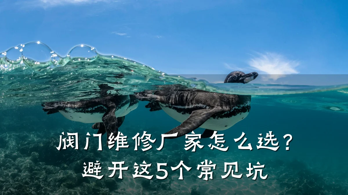 阀门维修厂家怎么选?避开这5个常见坑