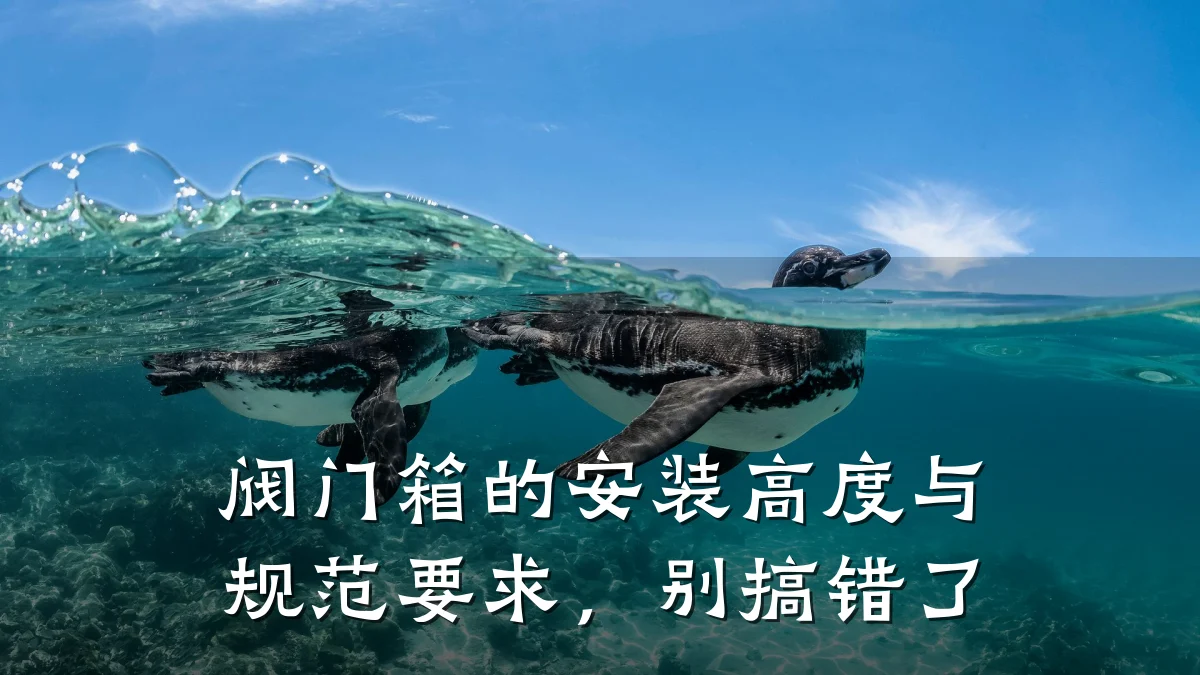 阀门箱的安装高度与规范要求，别搞错了
