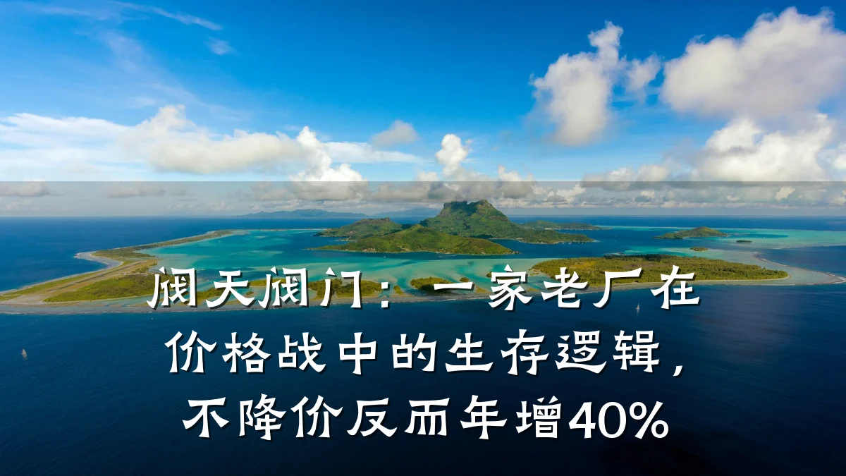 阀天阀门:一家老厂在价格战中的生存逻辑,不降价反而年增40%