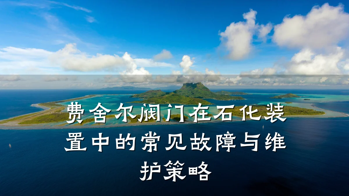 费舍尔阀门在石化装置中的常见故障与维护策略