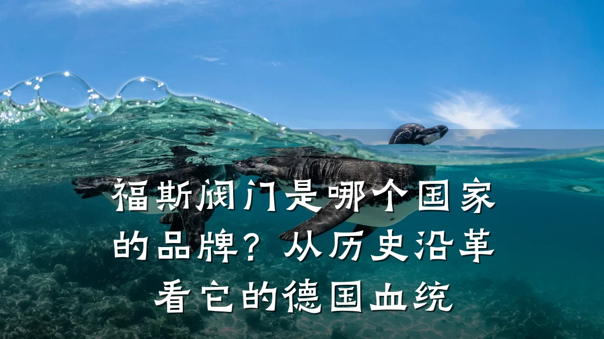 福斯阀门是哪个国家的品牌?从历史沿革看它的德国血统