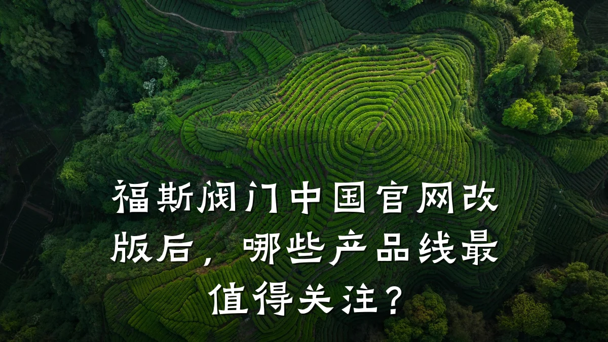 福斯阀门中国官网改版后,哪些产品线最值得关注?