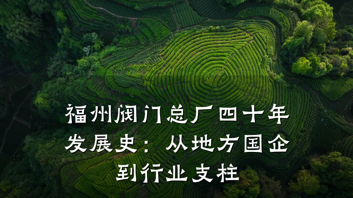 福州阀门总厂四十年发展史:从地方国企到行业支柱