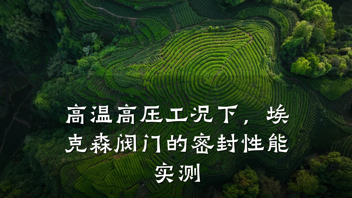 高温高压工况下,埃克森阀门的密封性能实测