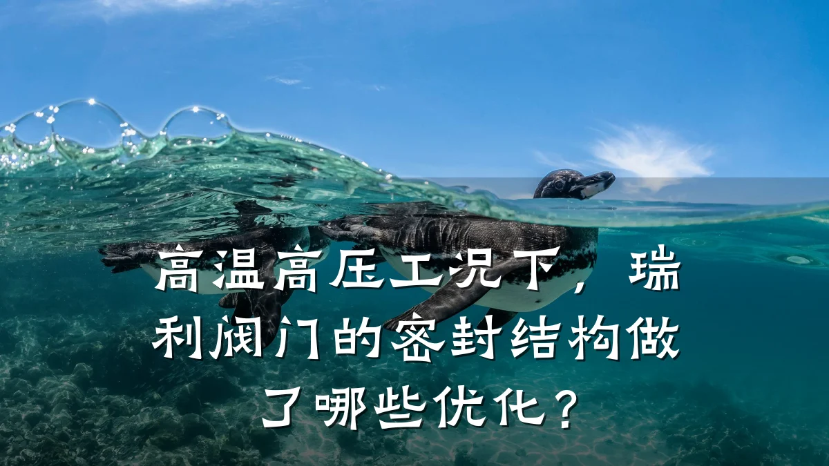 高温高压工况下,瑞利阀门的密封结构做了哪些优化?