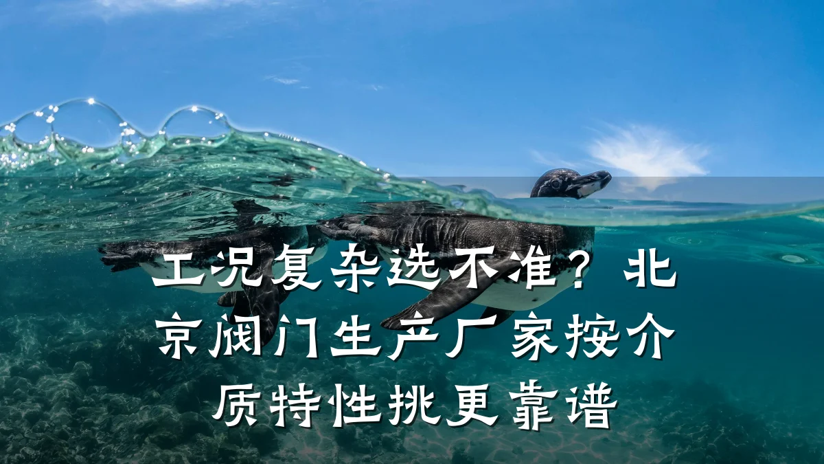 工况复杂选不准?北京阀门生产厂家按介质特性挑更靠谱