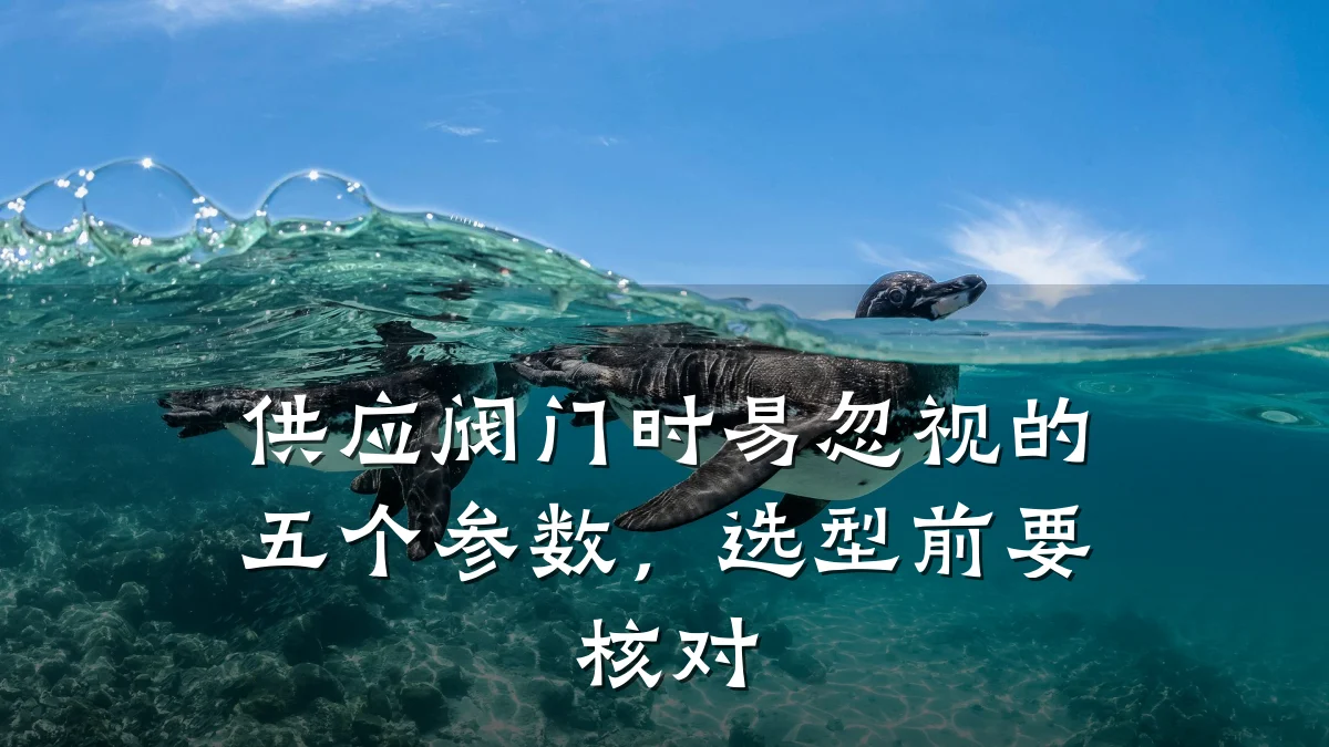 供应阀门时易忽视的五个参数,选型前要核对