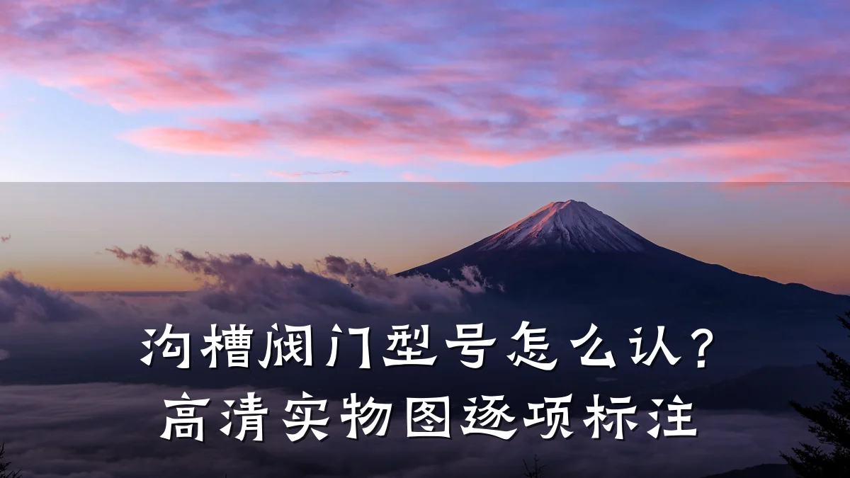 沟槽阀门型号怎么认?高清实物图逐项标注