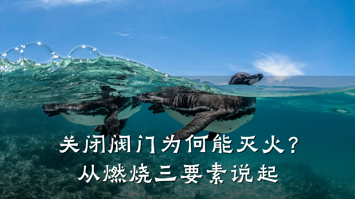 关闭阀门为何能灭火？从燃烧三要素说起