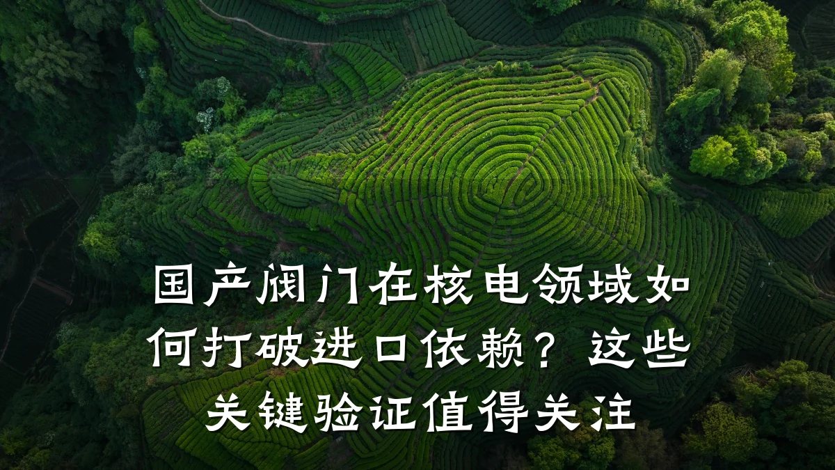 国产阀门在核电领域如何打破进口依赖?这些关键验证值得关注
