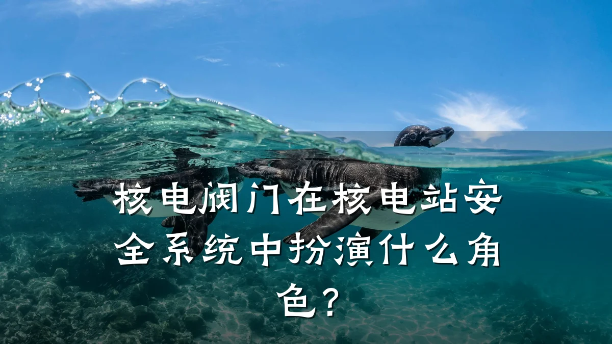 核电阀门在核电站安全系统中扮演什么角色?