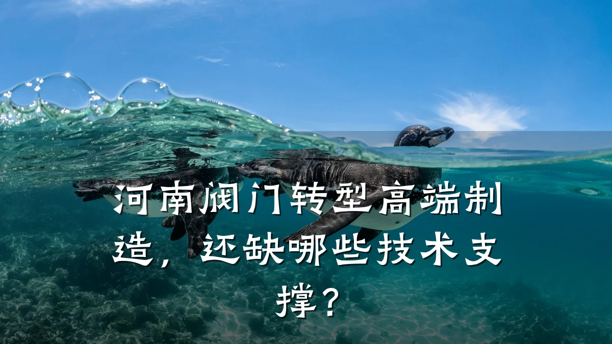 河南阀门转型高端制造,还缺哪些技术支撑?