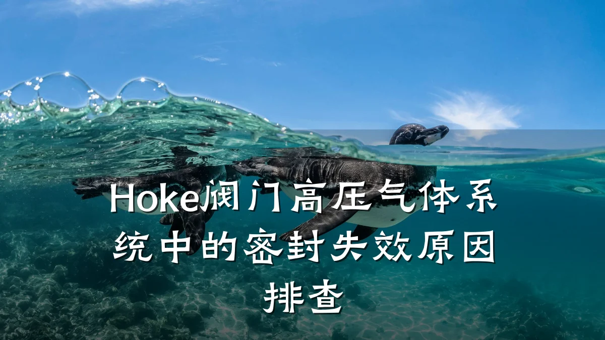 Hoke阀门高压气体系统中的密封失效原因排查