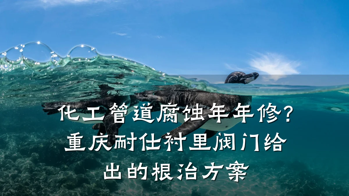 化工管道腐蚀年年修?重庆耐仕衬里阀门给出的根治方案