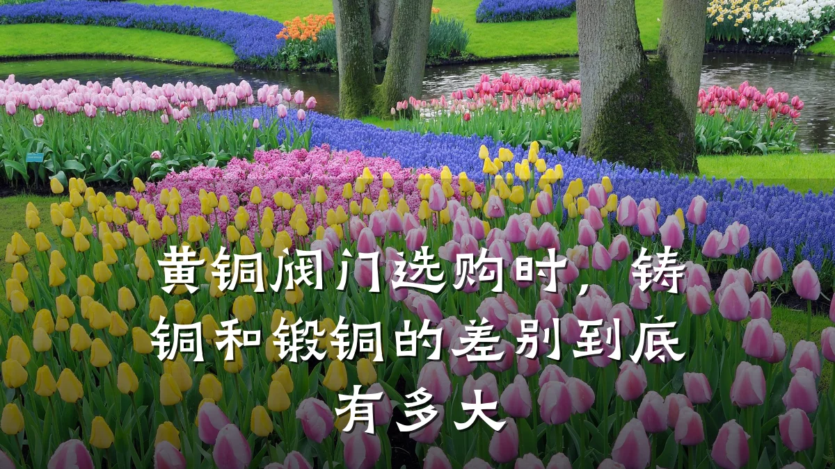 黄铜阀门选购时,铸铜和锻铜的差别到底有多大