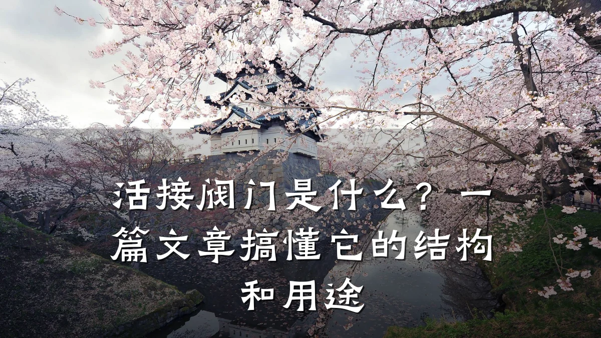 活接阀门是什么?一篇文章搞懂它的结构和用途