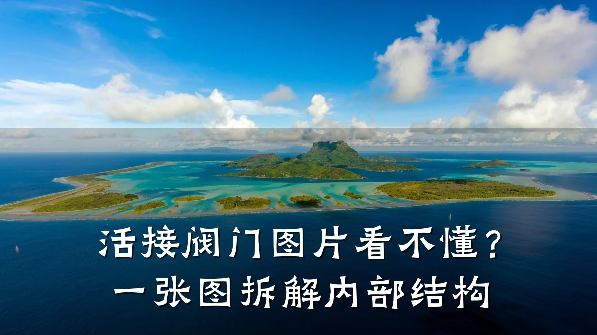 活接阀门图片看不懂?一张图拆解内部结构