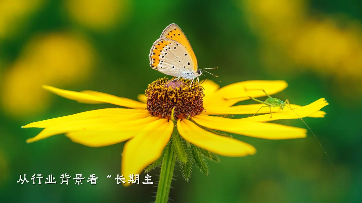从行业背景看“长期主