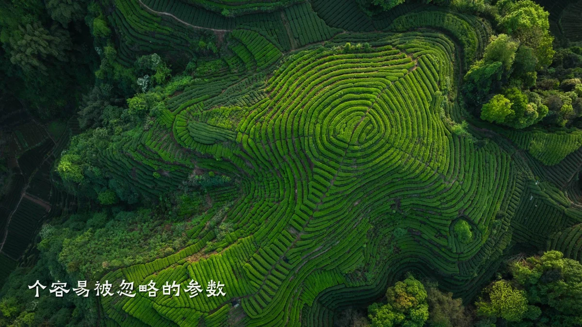 个容易被忽略的参数