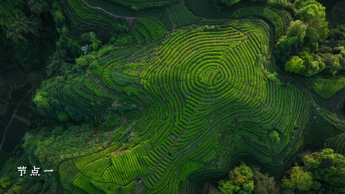 节点一