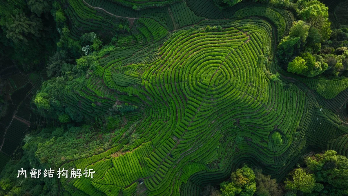 内部结构解析