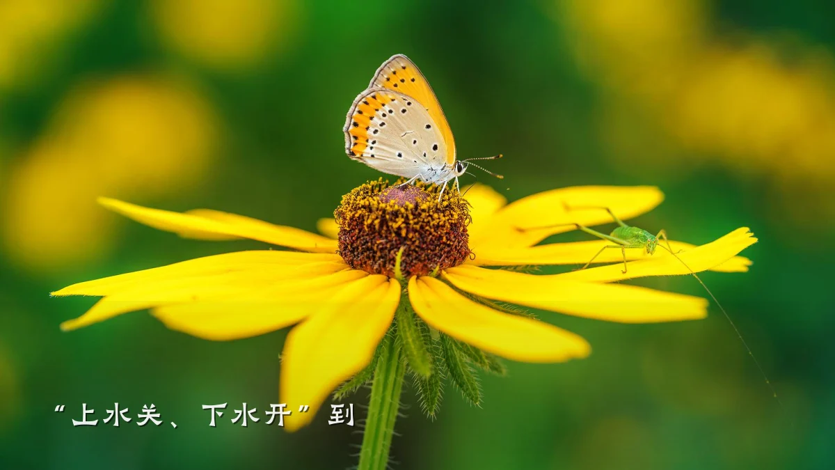 “上水关、下水开”到