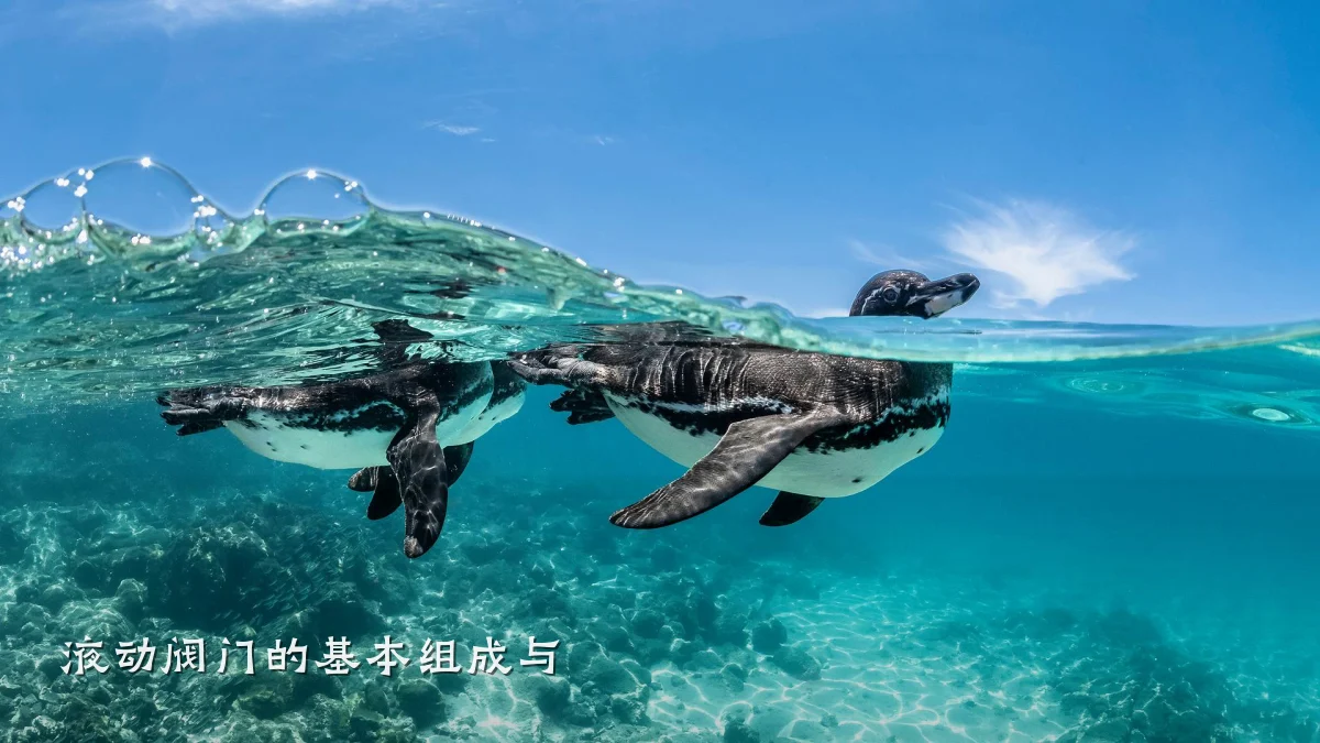 液动阀门的基本组成与