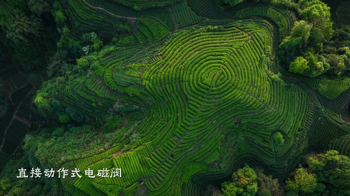 直接动作式电磁阀