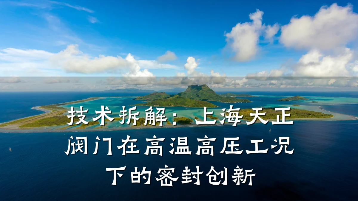 技术拆解:上海天正阀门在高温高压工况下的密封创新