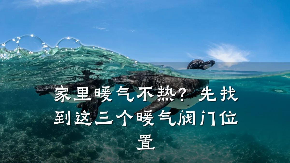家里暖气不热?先找到这三个暖气阀门位置